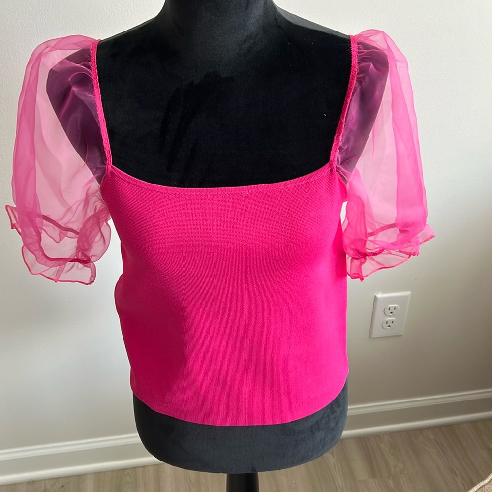 Pink Sheer Sleeves Blouse